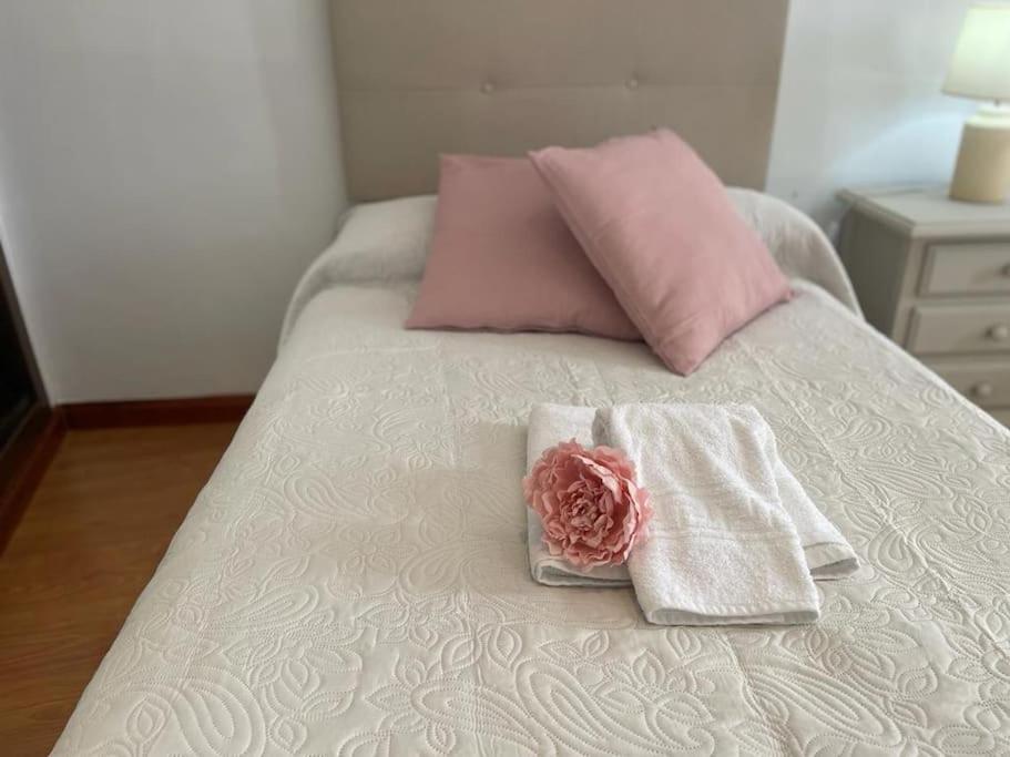 Apartamento Soltova Casar de Cáceres Zewnętrze zdjęcie